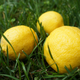 Illustration for article titled That Time a Young Girls Lemonade Stand Gave Her Neighbors Polio